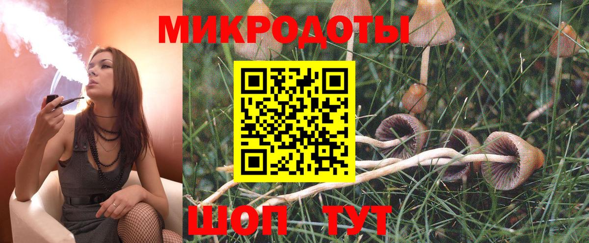 Псилоцибиновые грибы GOLDEN TEACHER Киров