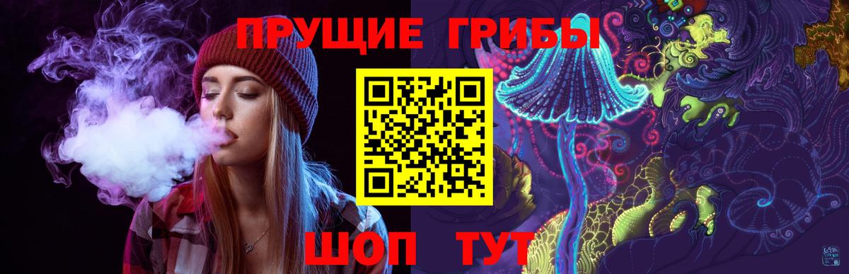 Киров  Псилоцибиновые грибы MAGIC MUSHROOMS  Вход с VPN  Псилоцибиновые грибы GOLDEN TEACHER 